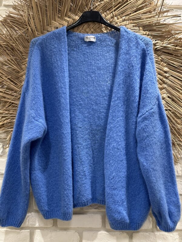 Gilet bleu 
TU